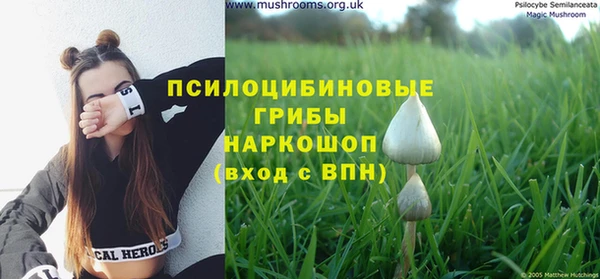 не бодяженный Абдулино