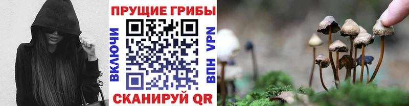 Галлюциногенные грибы Psilocybine cubensis ОМГ ОМГ как войти нарко площадка наркотические препараты Касли