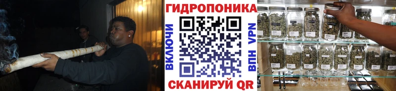 МАРИХУАНА гибрид  Касли 